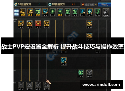 战士PVP宏设置全解析 提升战斗技巧与操作效率